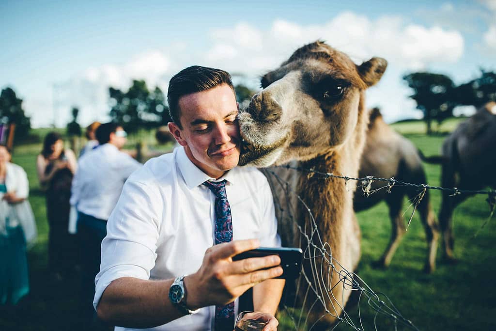 Cornish Camels Wedding Photographer 53