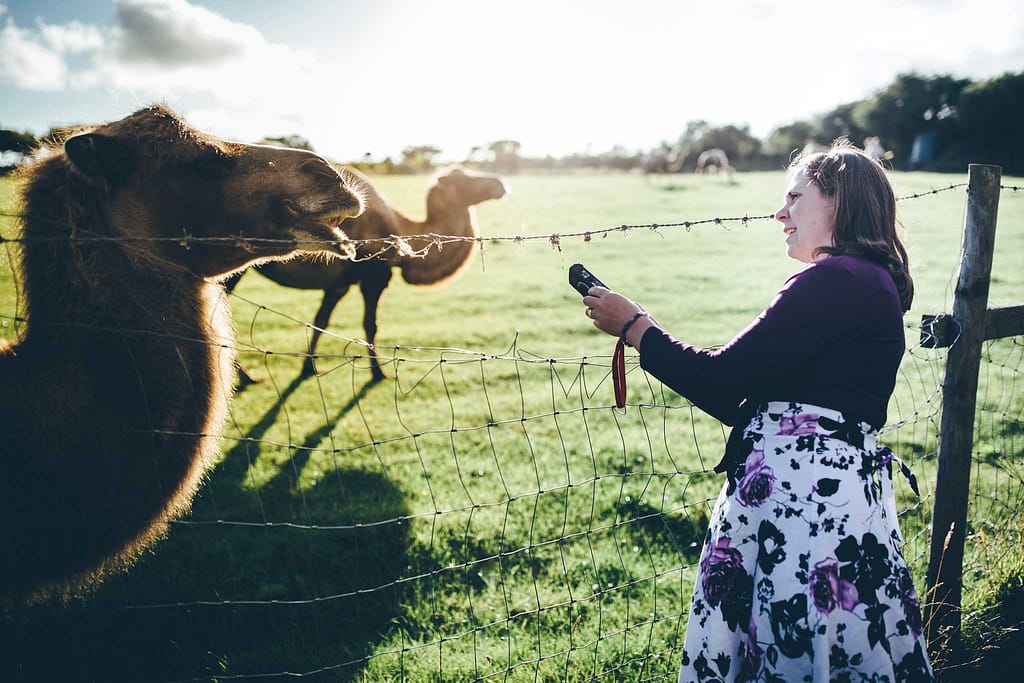 Cornish Camels Wedding Photographer 51
