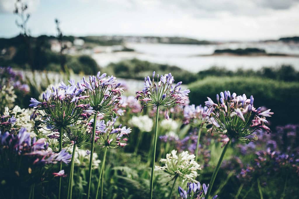 Isles of Scilly Wedding Photographer 47