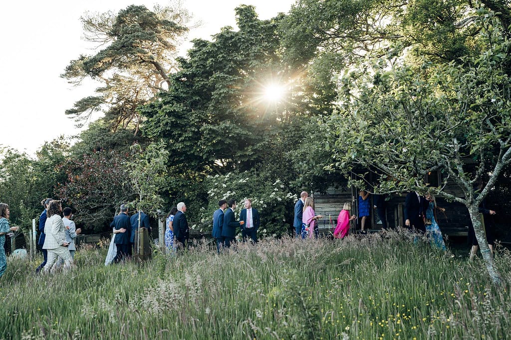 guests walking through a meadow